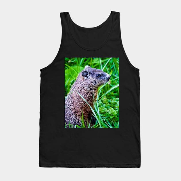 Groundhog in the Grass Photograph Tank Top by love-fi